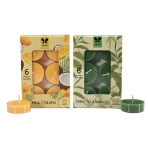 OOS-Fragrance-6 coloured and scented tea lights (INAC8002)